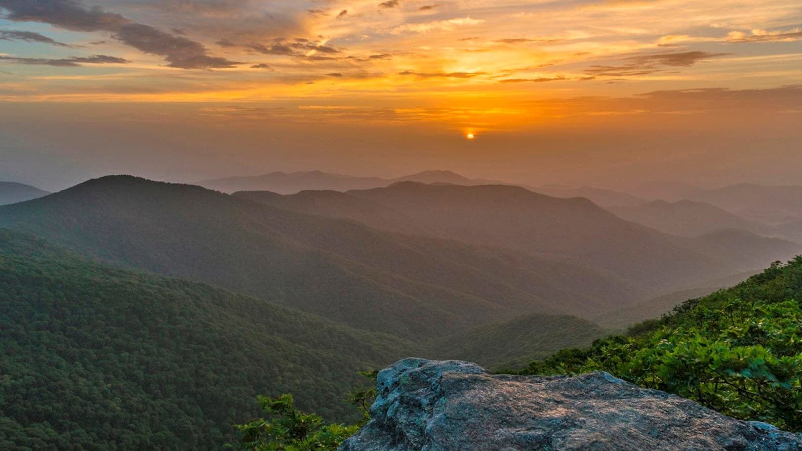 Forest bathing walk through the Blue Ridge Mountains